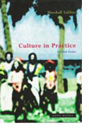 Culture in Practice: Selected Essays 
